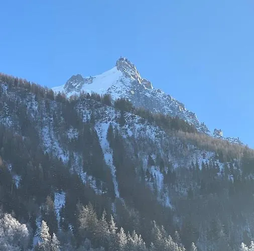 Apartment Chamois De Chamonix, Confortable 2 Pieces, Balcon, Parking Gratuit