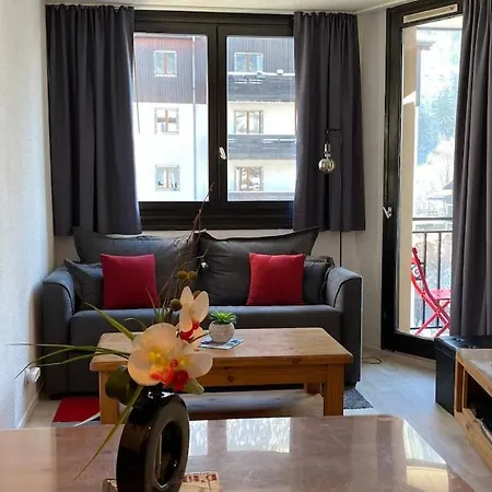 Chamois De Chamonix, Confortable 2 Pieces, Balcon, Parking Gratuit Апартаменты