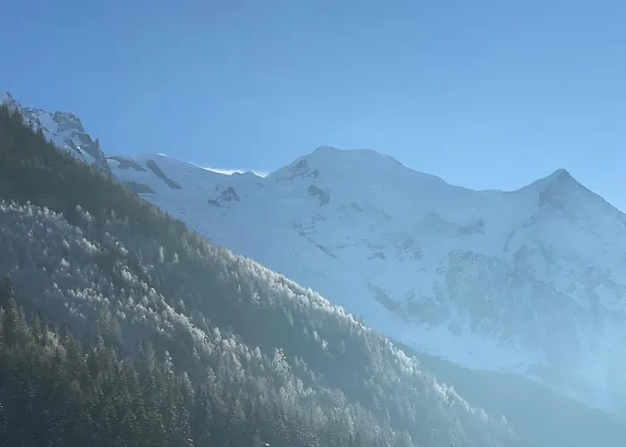 Chamois De Chamonix, Confortable 2 Pieces, Balcon, Parking Gratuit Chamonix